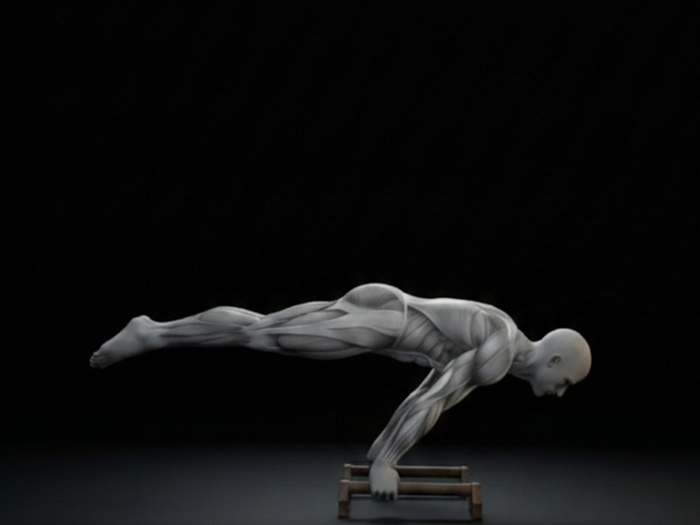 Anatomical figure holding a planche on parallettes